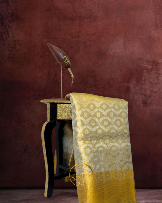 Elegant Silvery Sheen Saree