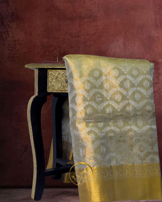 Elegant Silvery Sheen Saree